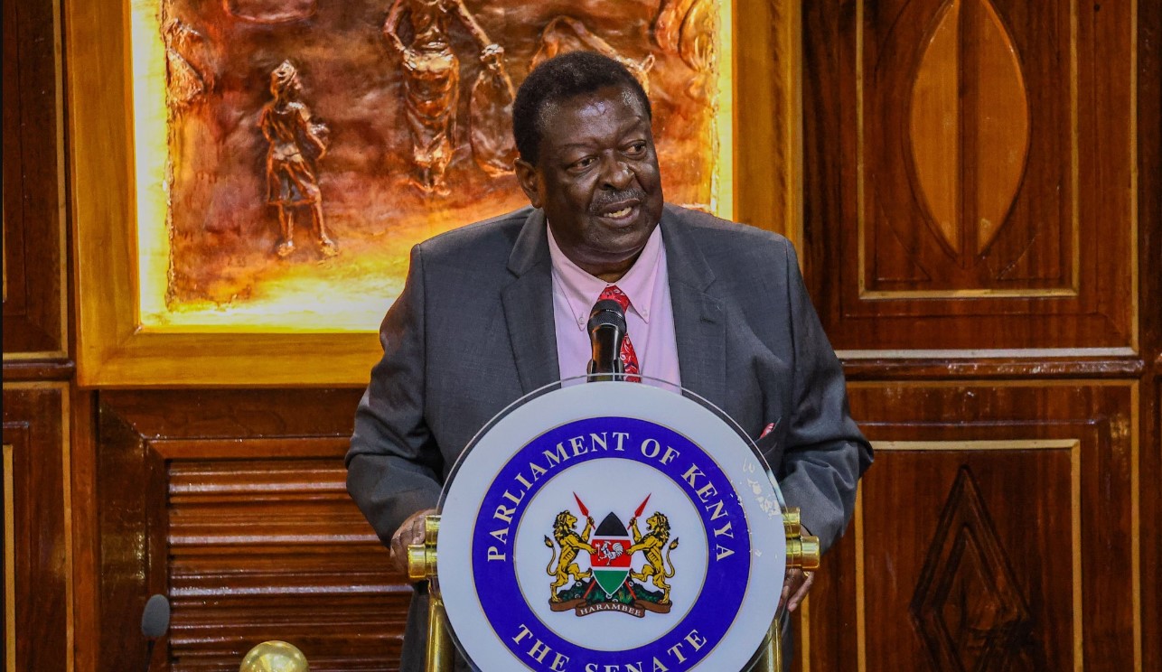 Government plans to extend e-Citizen services for 3.5 million Kenyans abroad - Prime Cabinet Secretary Musalia Mudavadi when he appeared before the Senate plenary on October 9, 2024: (Photo: X/Musalia Mudavadi)