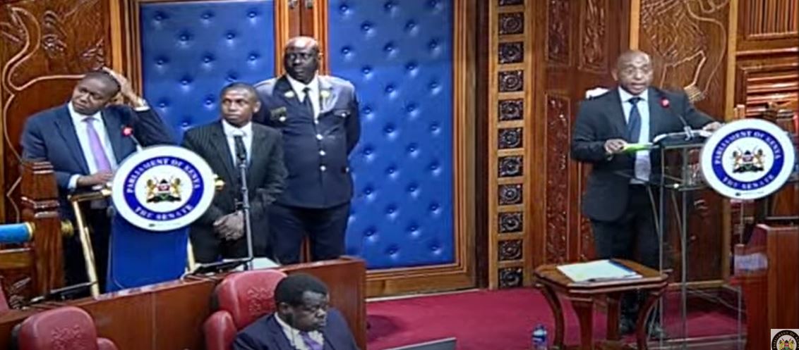 Kibwezi Member of Parliament Mwengi Mutuse (left) being cross-examined by DP Rigathi Gachagua's lawyer Tom Macharia at the Senate on Wednesday, October 16, 2024. (Photo: Handout)