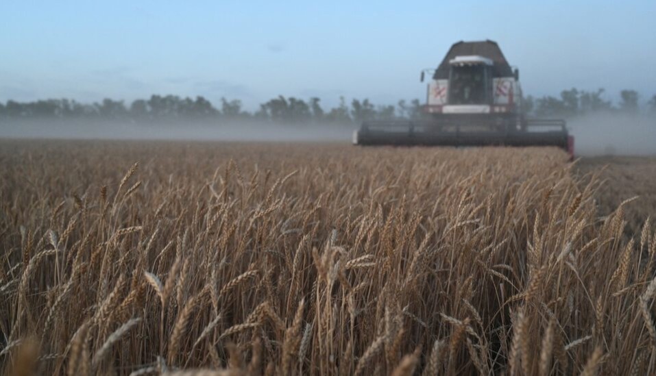 Russia seeks more control over global food prices with BRICS grain exchange