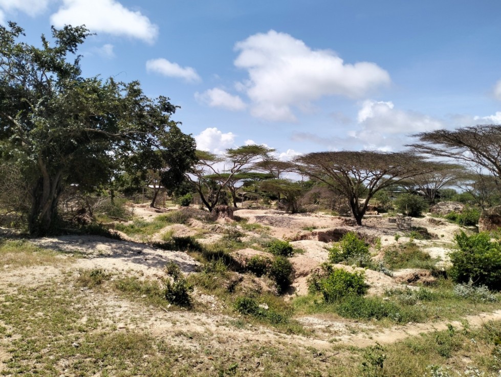 A quarry at Manda-Maweni Village in Lamu County.