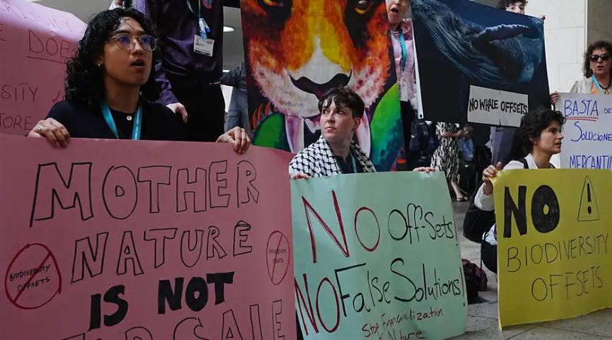 UN summit ends without agreement on biodiversity funding - Environmental activists gathered outside COP16 to pressure delegates to make progress on pledges to protect biodiversity. (Photo: Juancho Torres/Anadolu/picture alliance)