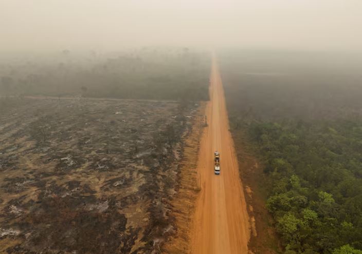 Global CO2 emissions to hit record high in 2024, report says