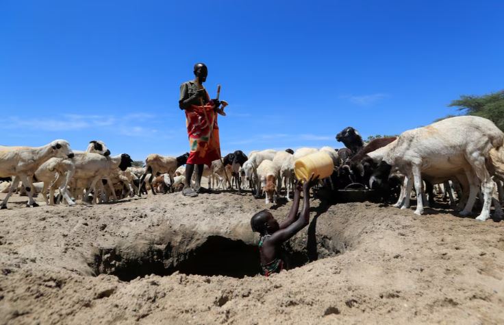 Kenya faces food insecurity, weather strain amid La Niña impact - Loudi Lokoriyeng' from the Turkana pastoralist community. Pastoralists to move freely across borders as Cabinet approves IGAD protocol. (Photo: REUTERS/Thomas Mukoya)