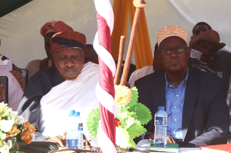 Borana community gets new chairman for council of elders in colourful ceremony