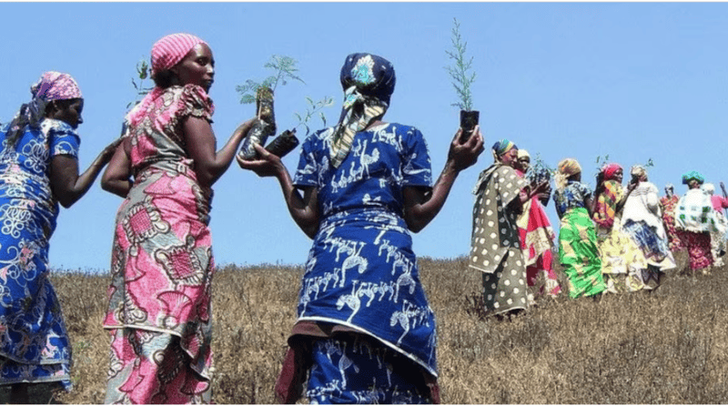 Climate change is hitting women the hardest. What to do about it – economists