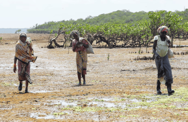 After missing school due to extreme heat, African children push for climate action