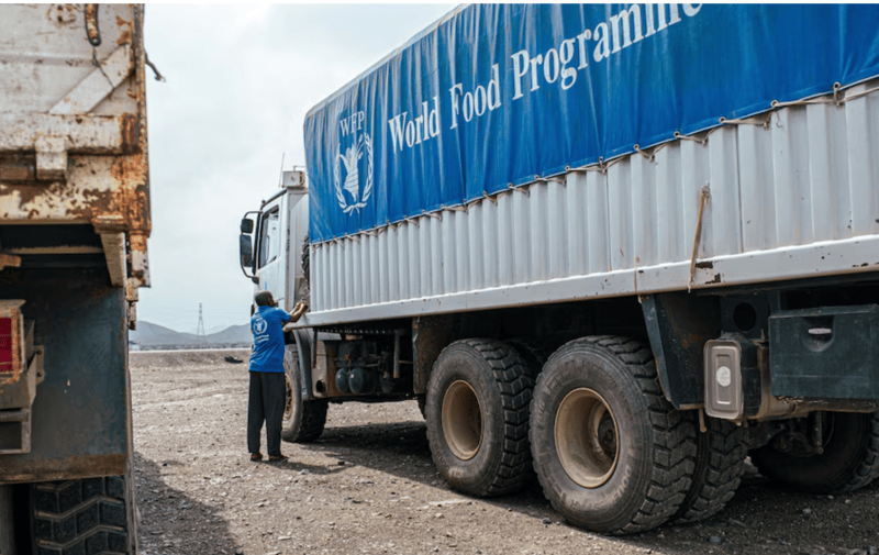 Major food aid 'scale-up' underway to famine-hit Sudan, WFP says - A WFP worker stands next to a truck carrying aid from Port Sudan to Sudan, in Sudan November 12, 2024. (WFP/Abubakar Garelnabei)