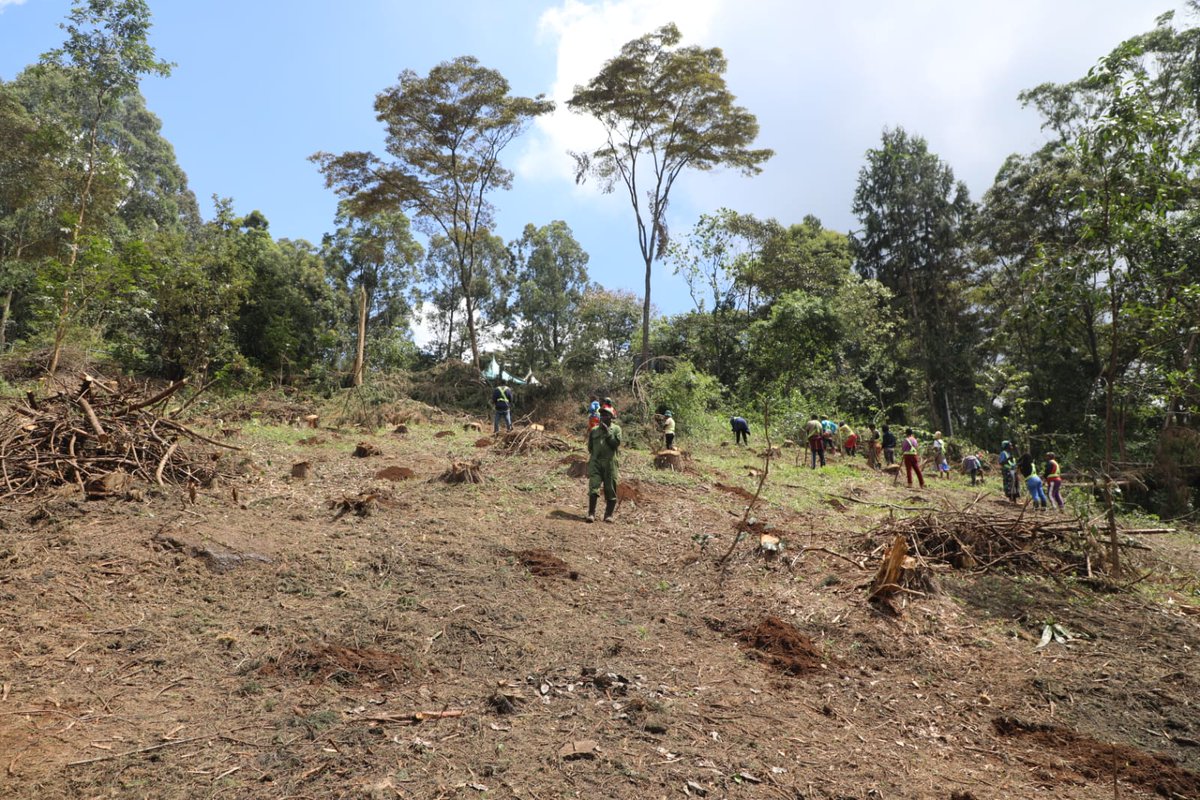 It’s forest management, not destruction: CS Duale addresses Karura Forest logging claims