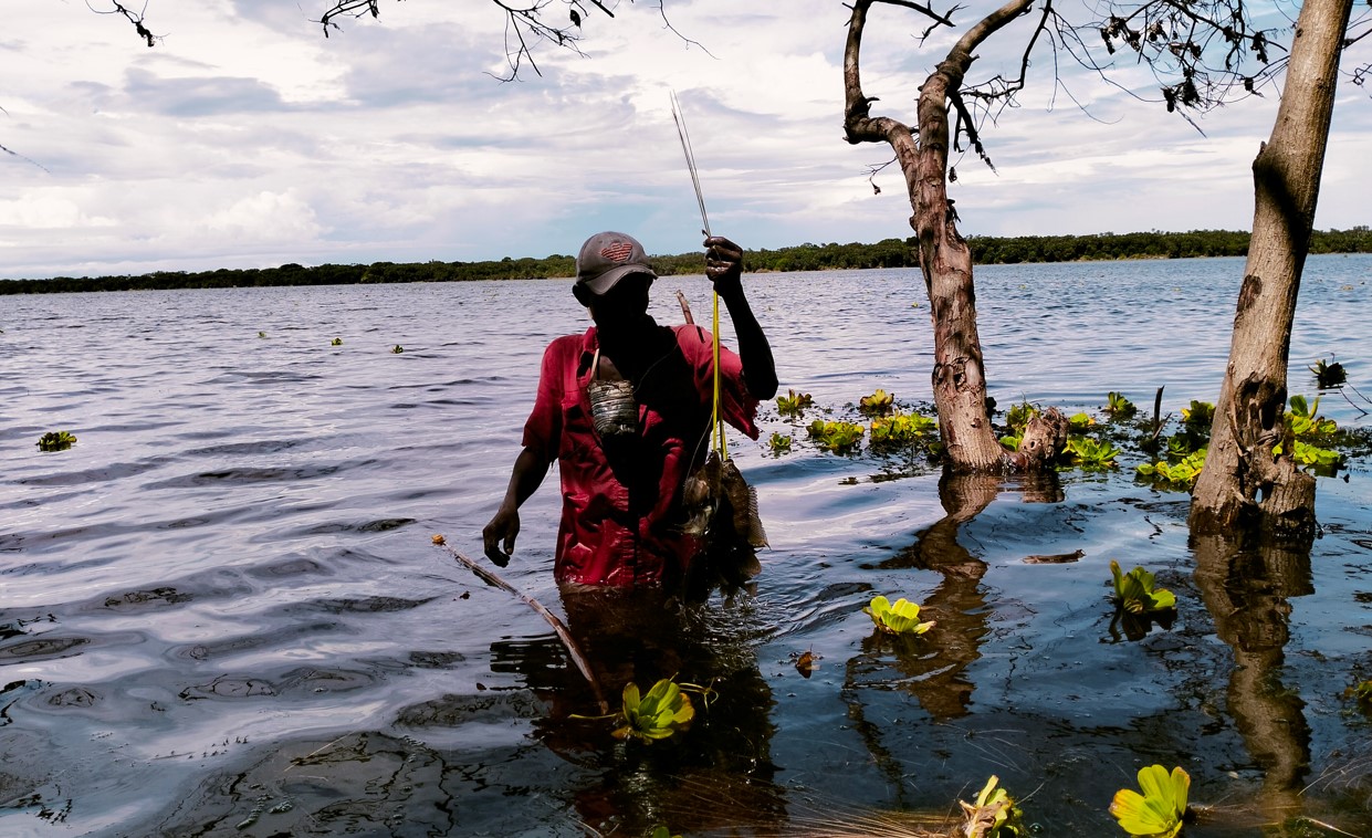 Concerns raised as indigenous fish species in Lamu's freshwater lake dwindle