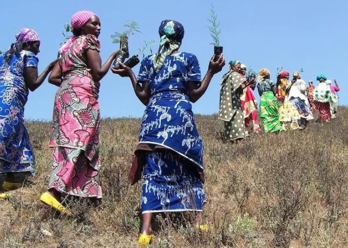 Climate change: Women’s role in the economy is key to a just transition