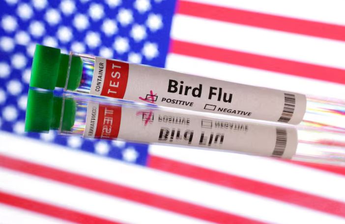 US suffers first severe human case of bird flu; California declares emergency