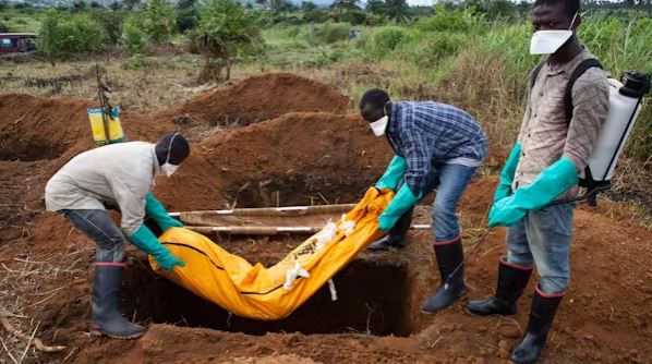 Ebola: How a vaccine turned a terrifying virus into a preventable disease