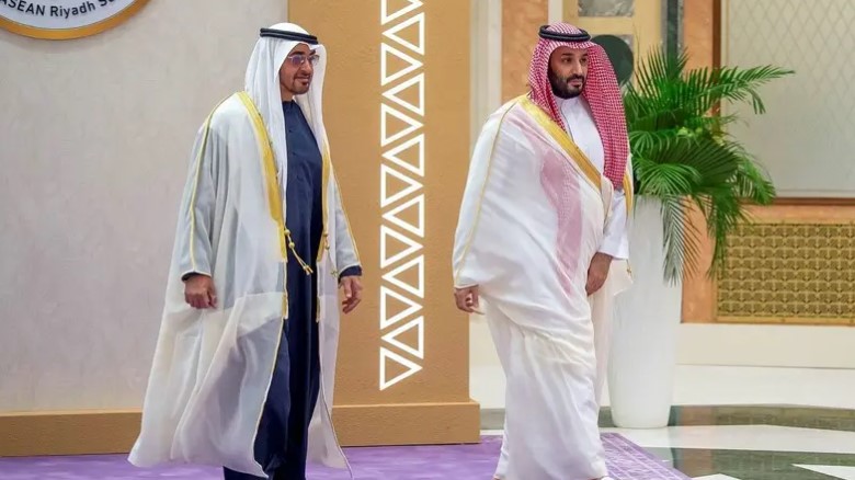 UAE President, Saudi Crown Prince discuss Middle East stability, Two-State solution