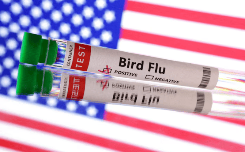 Bird flu virus shows mutations in first severe human case in US, CDC says