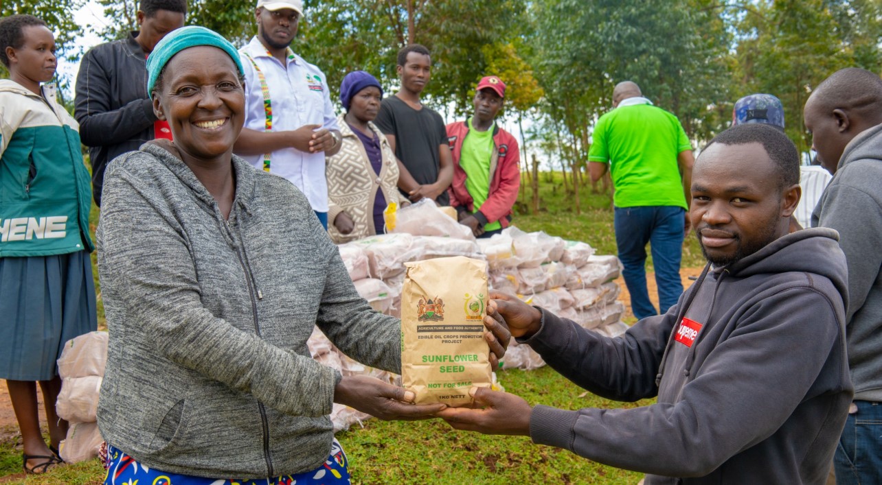 MPs raise concerns over effectiveness of Sh981 million edible oil crop promotion project - Farmers receive sunflower seeds distributed by the AFA Nuts and Oils Directorate as part of the edible oil crop projects. (Photo: AFA)