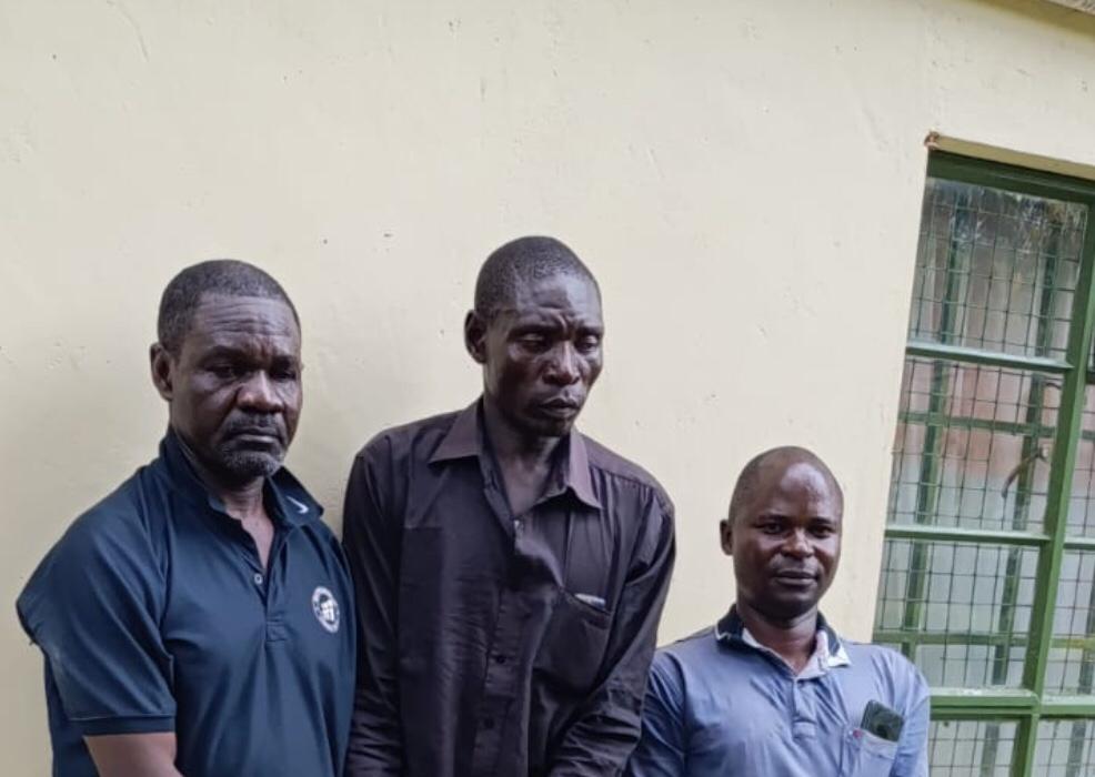 Three wildlife traffickers arrested, Sh2.9m rhino horn seized in Homa Bay operation - The three wildlife traffickers who were arrested with a Sh2.9m rhino horn in Homa Bay County. (Photo: DCI)