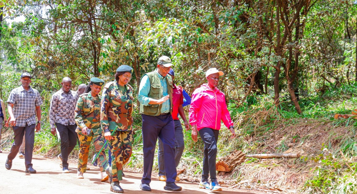 Kenya Forest Service explains exotic tree harvesting in Karura, Thogoto forests - Environment CS Aden Duale during a tour of Karura Forest on November 23, 2024. The Kenya Forest Service is harvesting exotic trees in the forest. (Photo: X/Aden Duale)