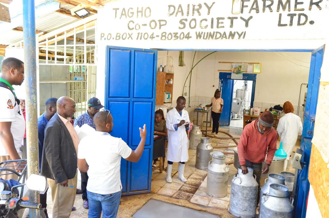 Taita Taveta farmers to benefit from commercialisation farming projects