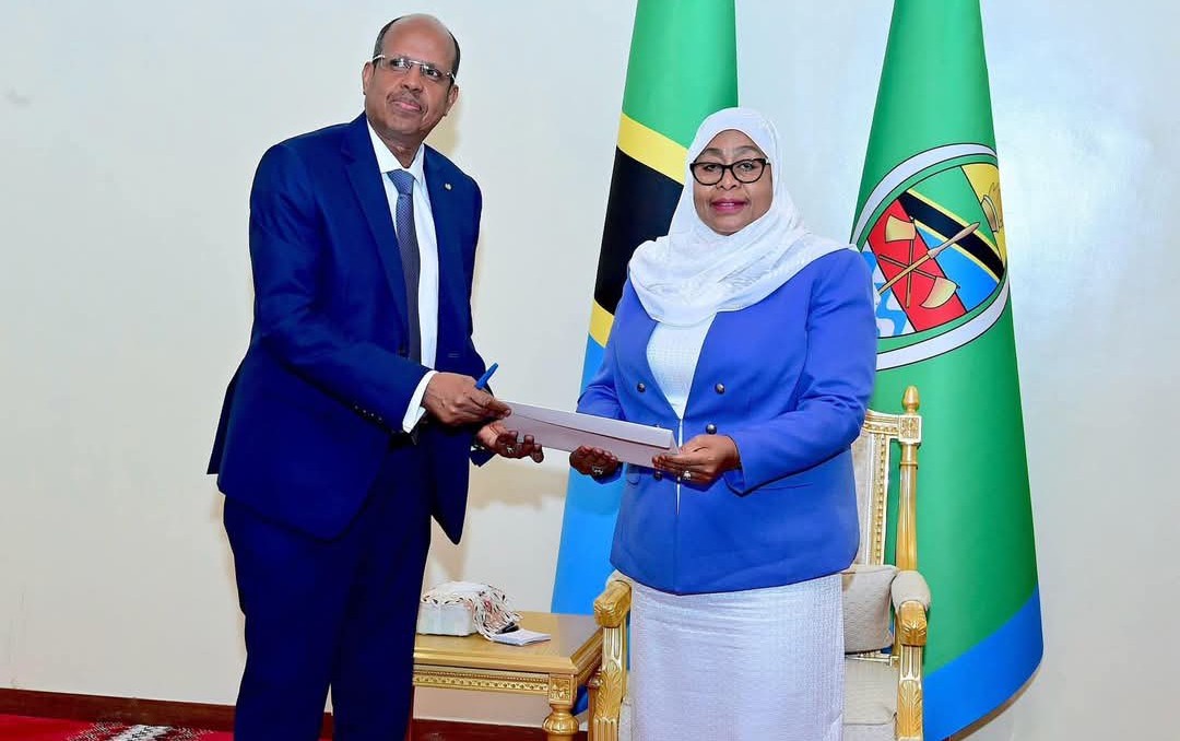 Djibouti's Foreign Minister denies AUC Chair race rumours, meets Tanzanian President to secure support