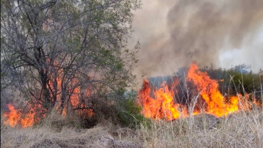 Isiolo wildfire continues to rage with about 190,000 acres of grazing land destroyed - Red Cross