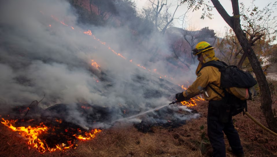 Los Angeles races to contain devastating wildfires before severe winds return - A firefighter battles the Palisades Fire, one of several simultaneous blazes that have ripped across Los Angeles County, in Mandeville Canyon, a neighbourhood of Los Angeles in California, USA on January 11, 2025. (Photo: REUTERS/Ringo Chiu)