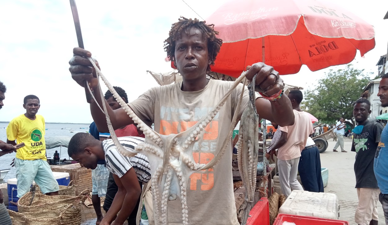 Octopus meal: Delicacy revered by many on Kenya’s coast and said to improve stamina