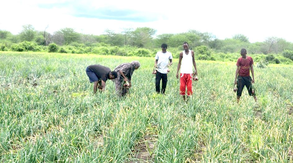 Kalro launches digitised soil testing programme to boost agricultural productivity