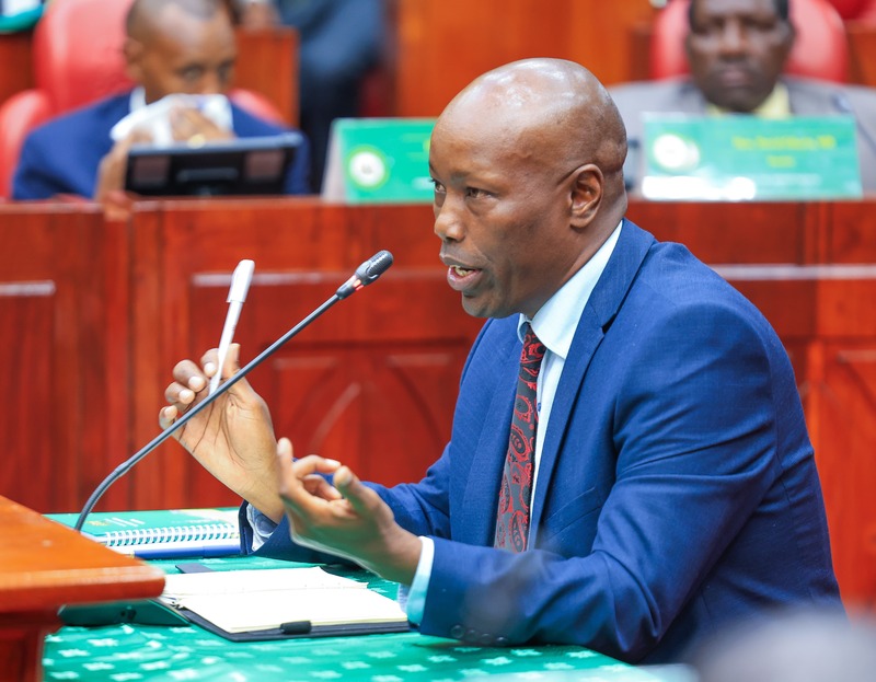 Trade CS nominee Lee Kinyanjui: How I plan retain investors leaving Kenya - Trade Cabinet Secretary nominee Lee Kinyanjui during vetting.  (National Assemly)