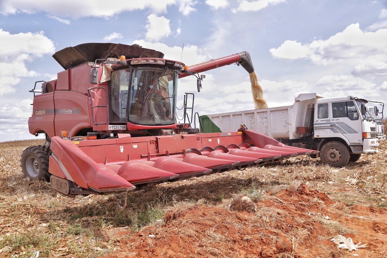 State to introduce standardised rules for leasing public assets to boost revenue - The Galana-Kulalu irrigation scheme. 10,000 acres at the scheme have been earmarked for leasing. (Photo: Government Delivery Services)