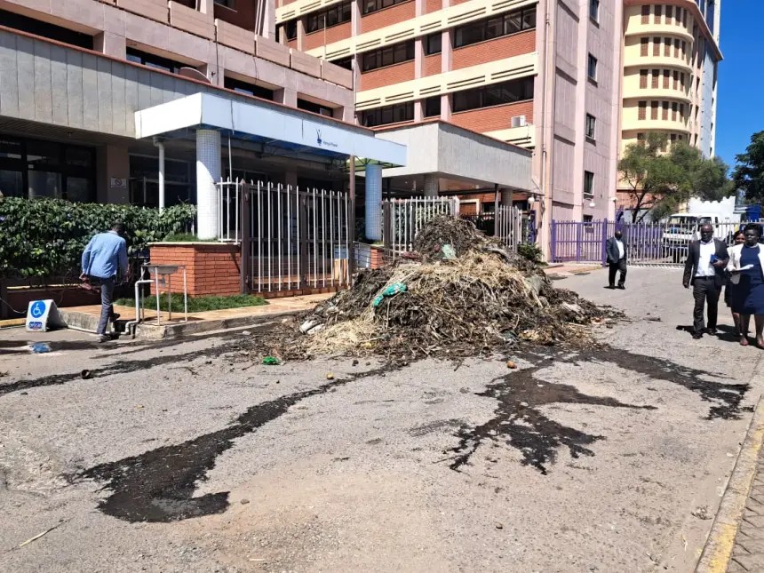 DPP orders probe into waste dumping at Kenya Power premises