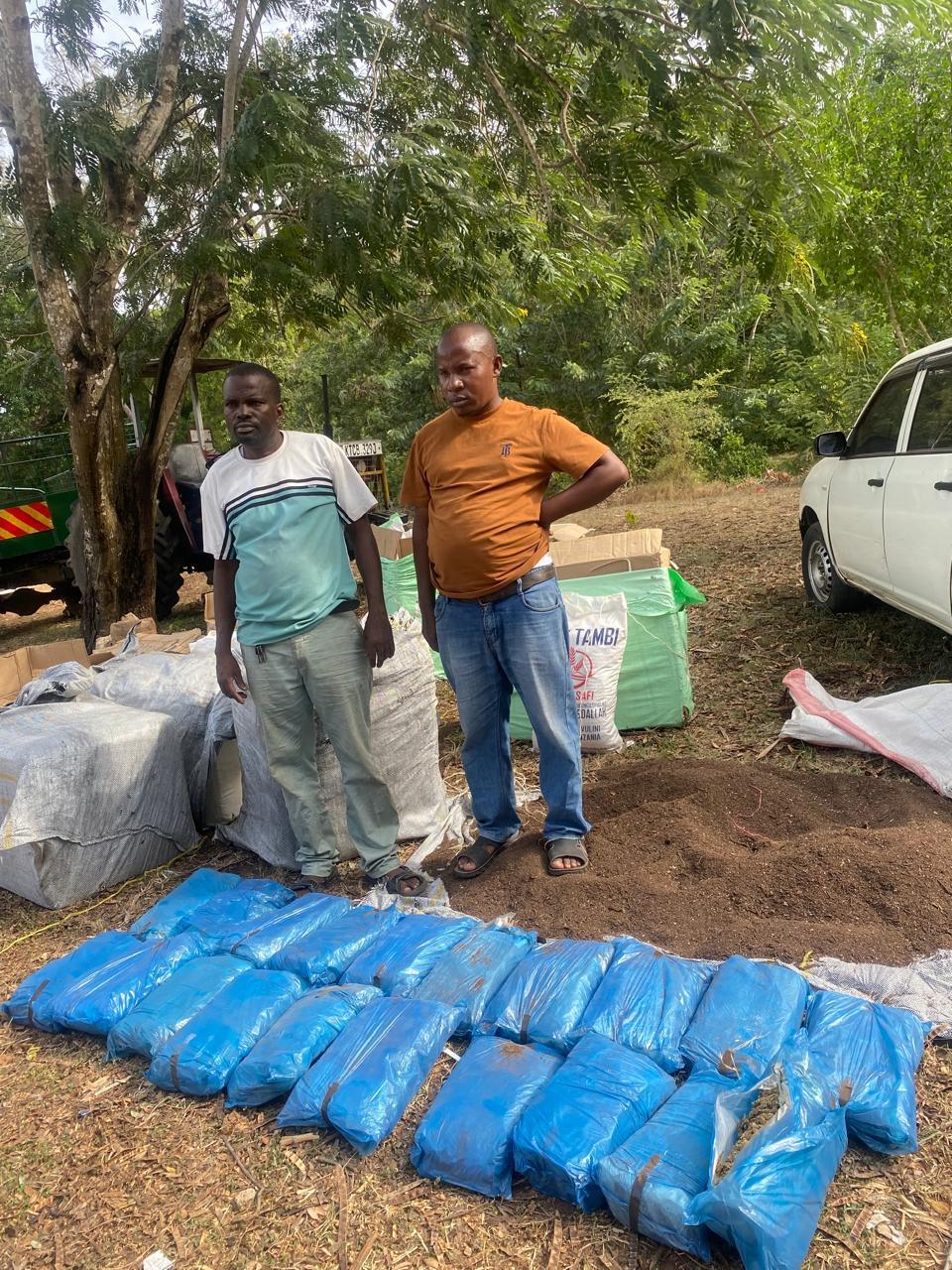 Two Tanzanians arrested with 20kg of high grade bhang on Mombasa Highway - Two Tanzanians arrested with 20kg of high grade bhang on Mombasa Highway. (Farhiya Hussein)