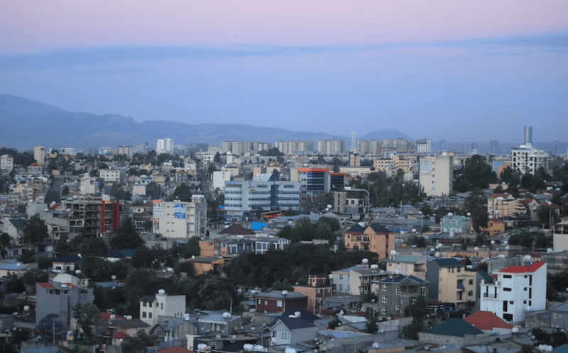 Ethiopia bondholders say IMF report 'artificially' creates solvency issue