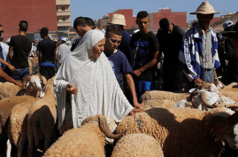 Drought-hit Morocco asks citizens not to slaughter sheep on Eid al-Adha