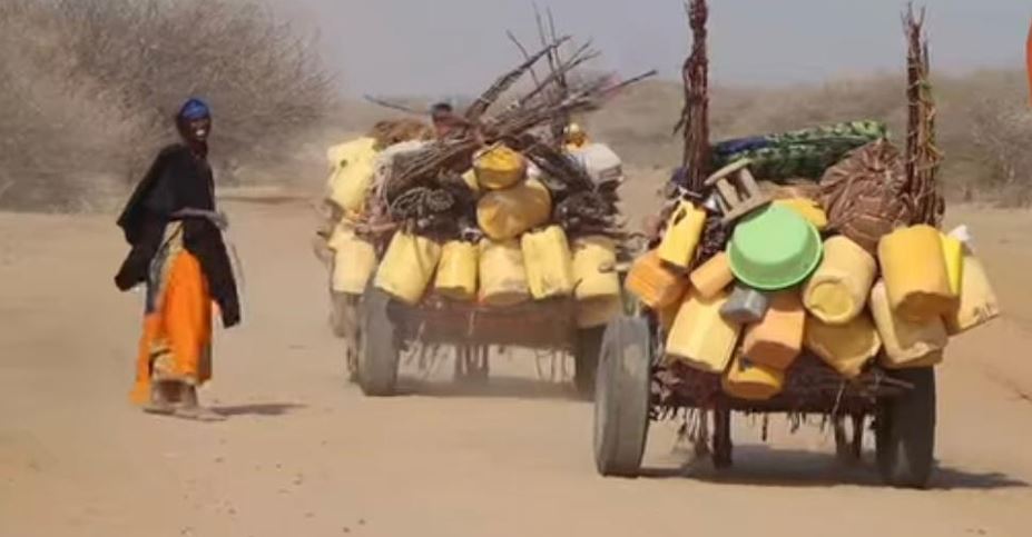 Residents of Handanki in Wajir appeal for food and water as dry spell intensifies