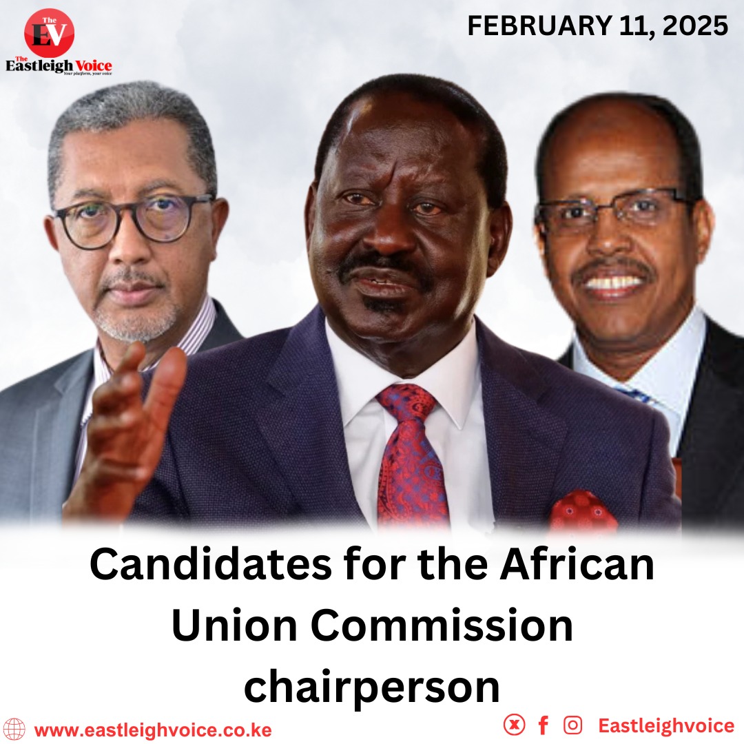 A Look At Candidates Vying to Chair the African Union