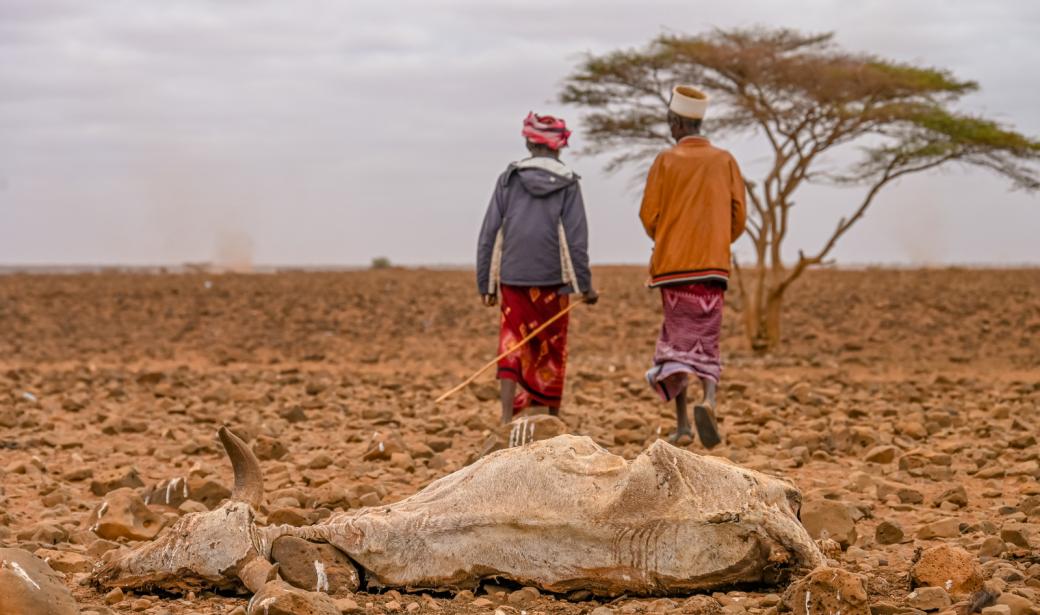 Worsening drought leaves millions in Kenya and Somalia at risk of starvation