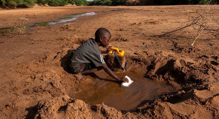 US aid cut to worsen situation for over 600,000 Kenyans affected by drought, says Mercy Corps - The deterioration of water treatment programs has left countless people with no choice but to consume untreated water, exposing them to a higher risk of waterborne diseases such as diarrhoea. (Photo: United Nations)