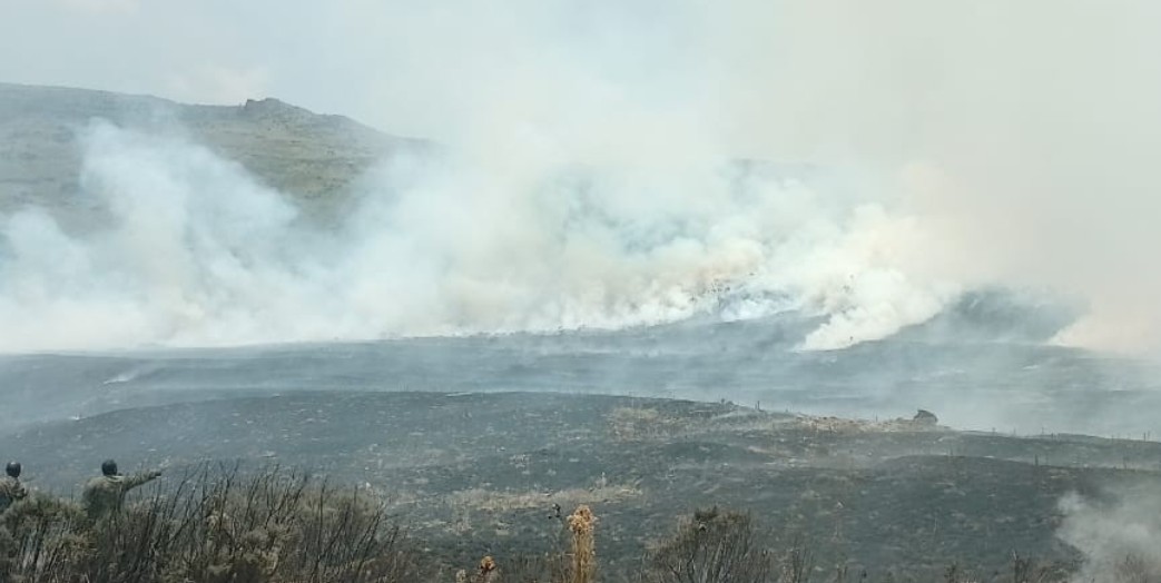 Kenya battles surge in wildfires as 180 blazes recorded in two months