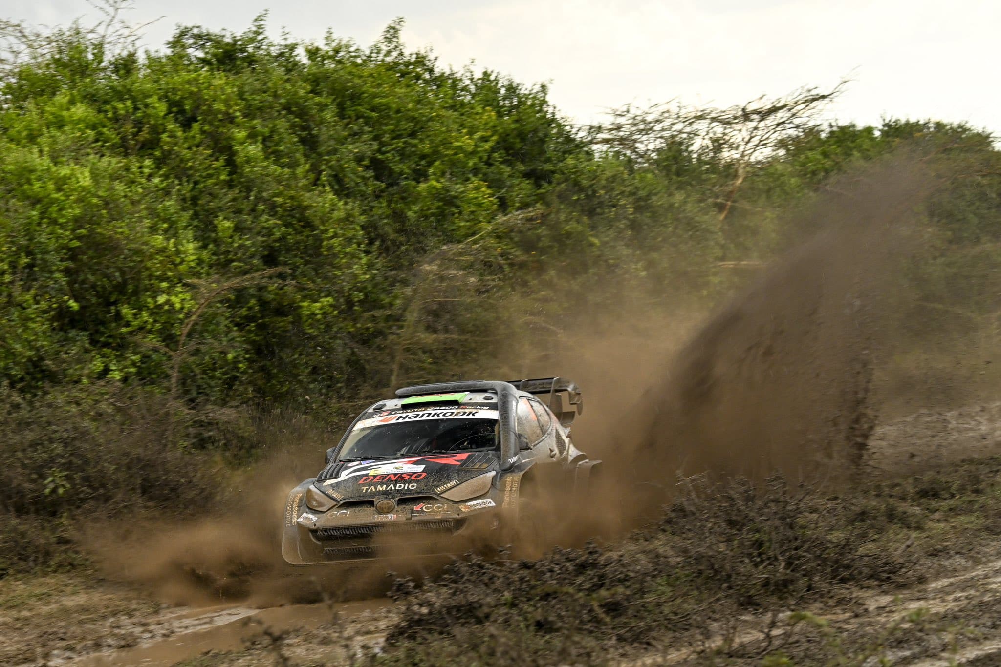 Elfyn Evans extends lead as Safari Rally heads into final day - Elfyn Evans in action (C) Courtesy