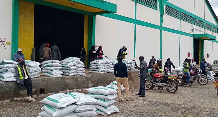 CS Kagwe says farmers to get subsidised fertiliser after logistical challenges resolved - Farmers collect subsidised fertiliser from the NCPB depot in Eldoret. (Photo: File)