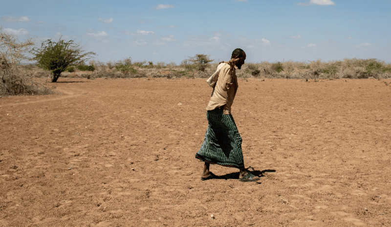 1.7 million children in Somalia at risk of severe malnutrition, report warns