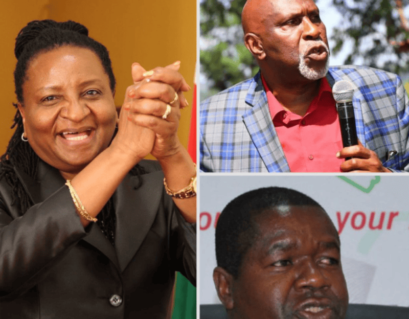 Oswago, Amadi and Nyachae among 37 individuals in race for IEBC chairperson role