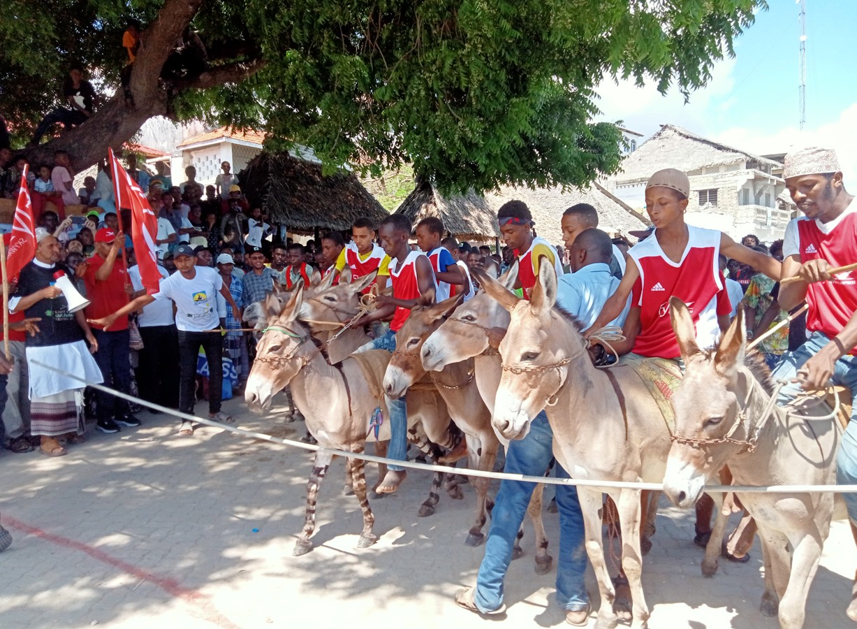 Valued assets: Precious Lamu donkeys priced more than motorcycles