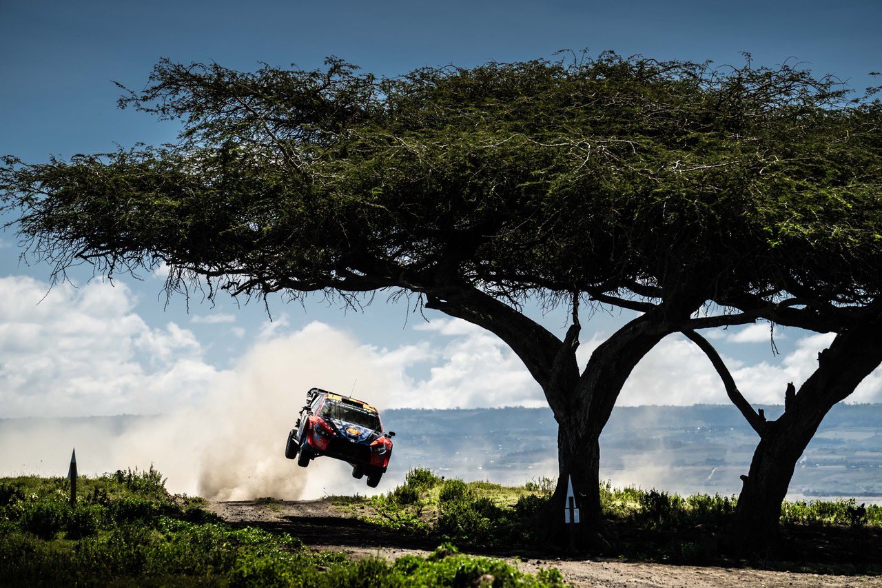 Neuville lands in Kenya, targets Safari Rally glory in 2025 WRC defence -  Thierry Neuville in action (C) Courtesy