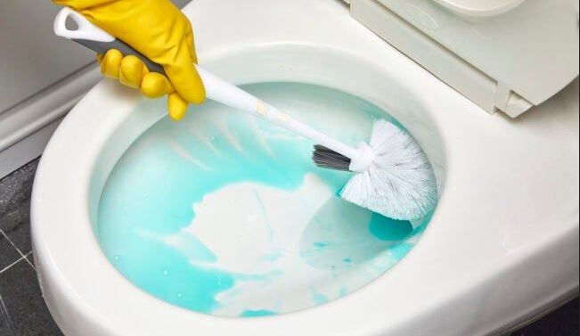 How your toilet brush might be giving you recurrent UTIs