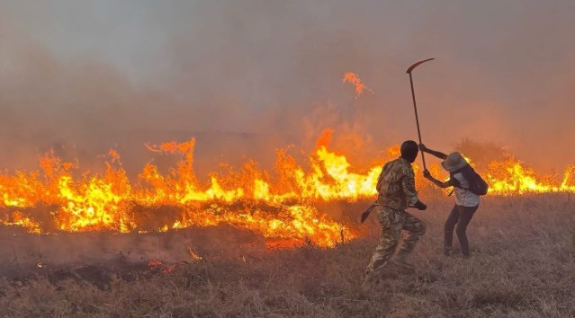 Fires in Nairobi and Ruma national parks persist as emergency teams battle to contain them