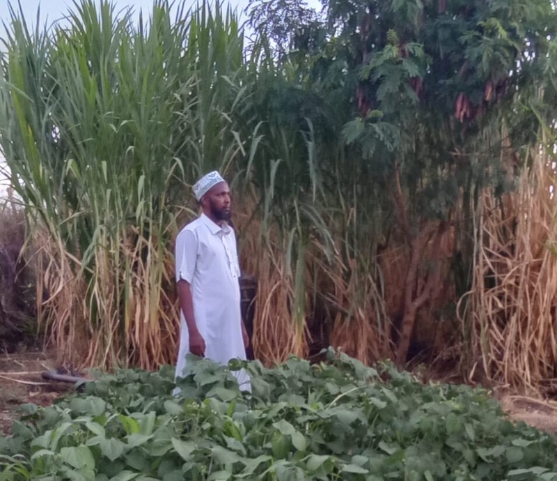 Garissa farmer champions fodder production to combat climate change - Hassan Yussuf at his Jamhuri farm where grows varieties of grass. (Issa Hussein)