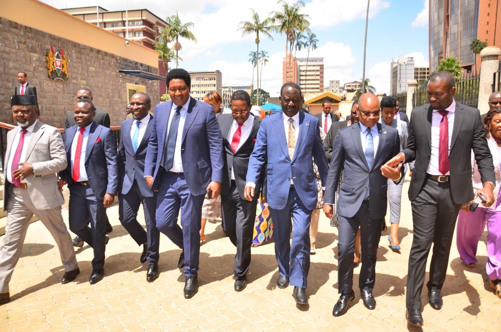 Raila backs stronger Senate with distinct powers amid House supremacy battles