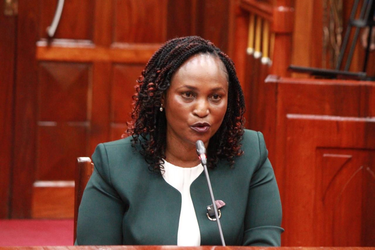 Watch: Nominated IEBC commissioner Anne Nderitu faces vetting panel