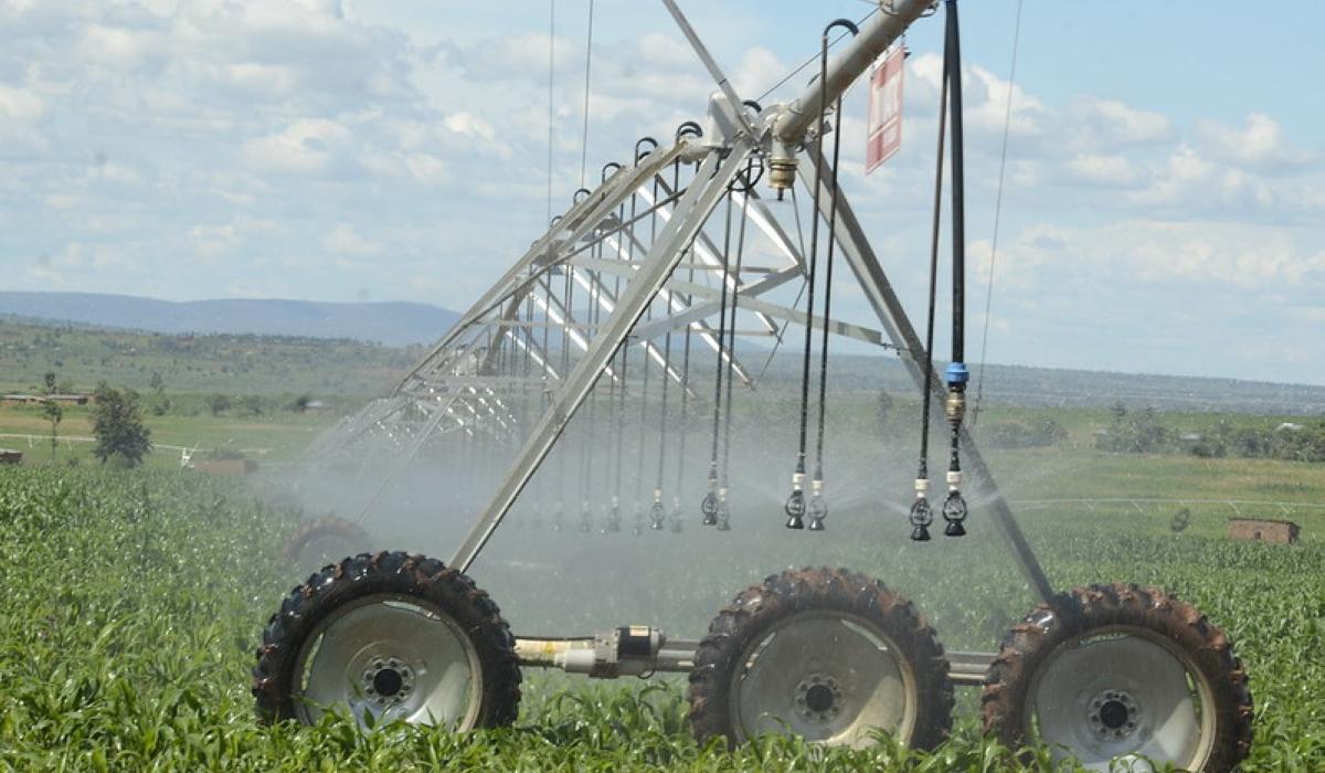 Urgent food system reform needed for resilience as Africa faces chronic hunger crisis